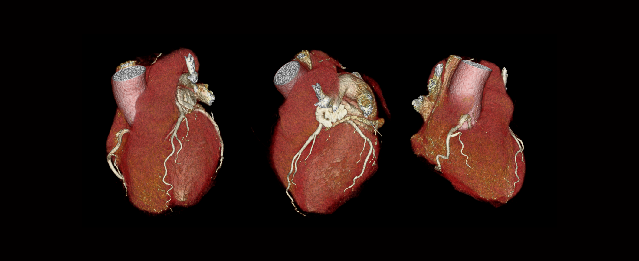 Progetto senza titolo (13)