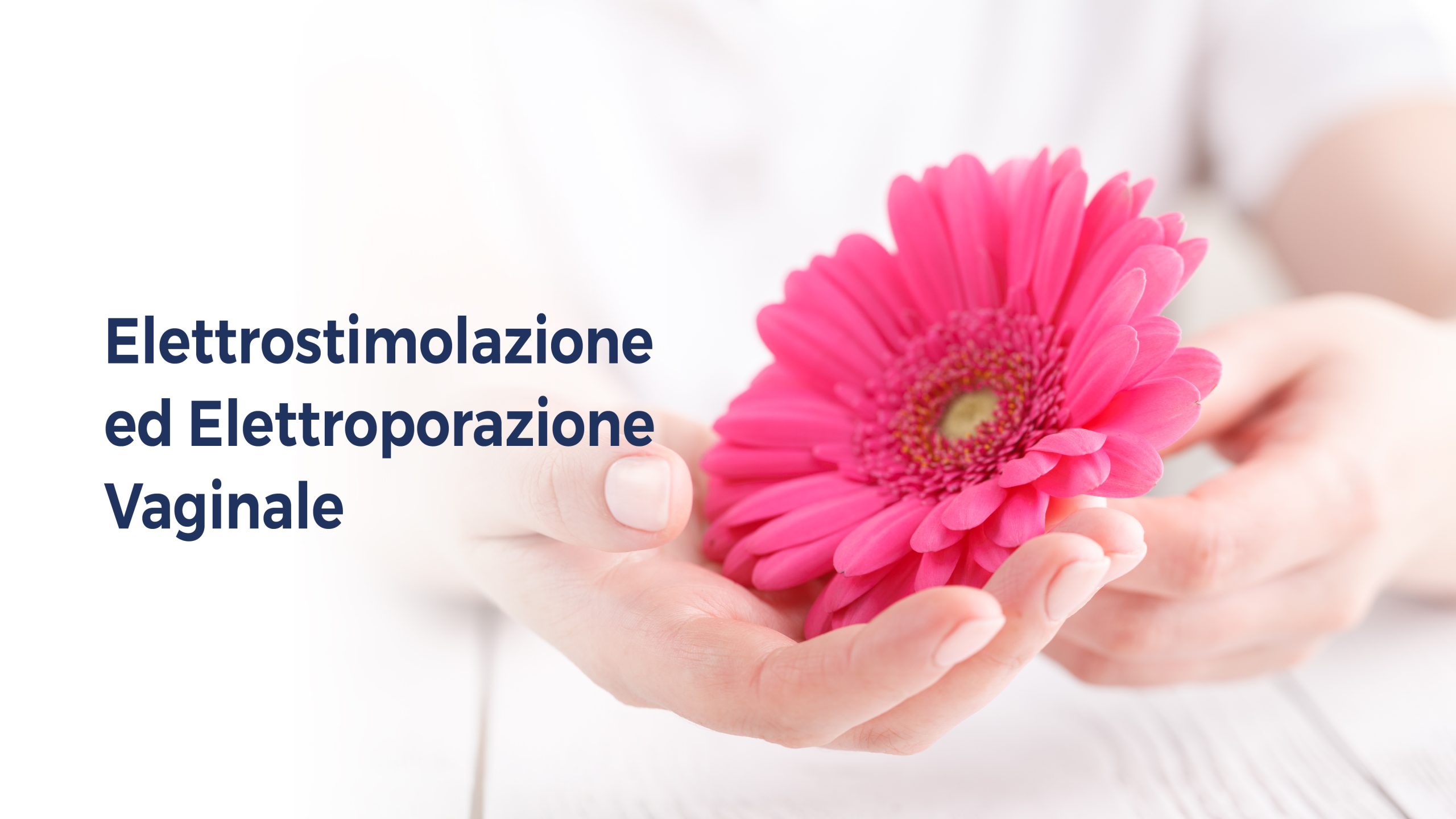 Sindrome Genito-Urinaria